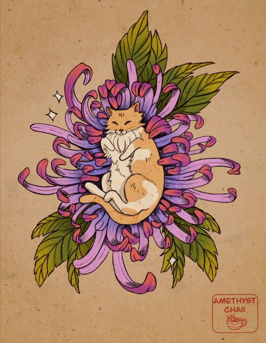 Emi- My Cat