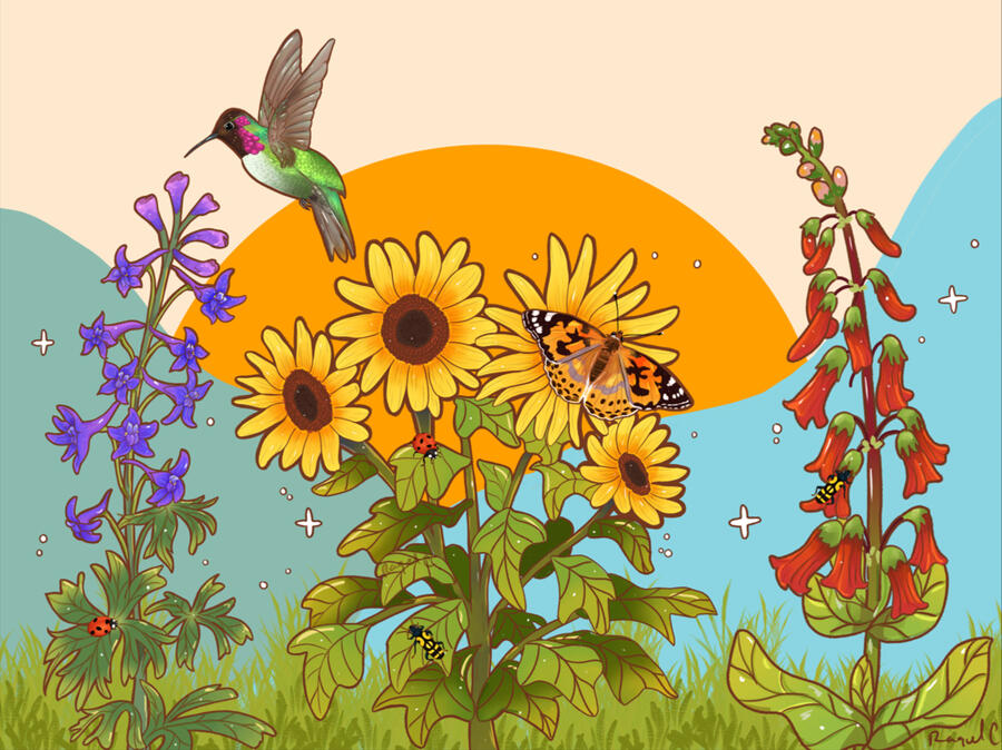 Hummingbird -Daybreak Utility Wrap - Digital