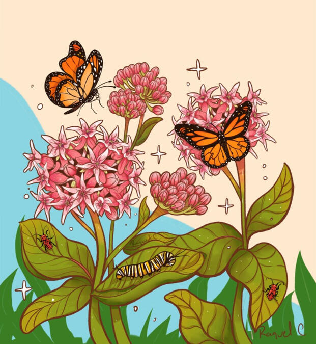 Milkweed-Daybreak Utility Wrap - Digital