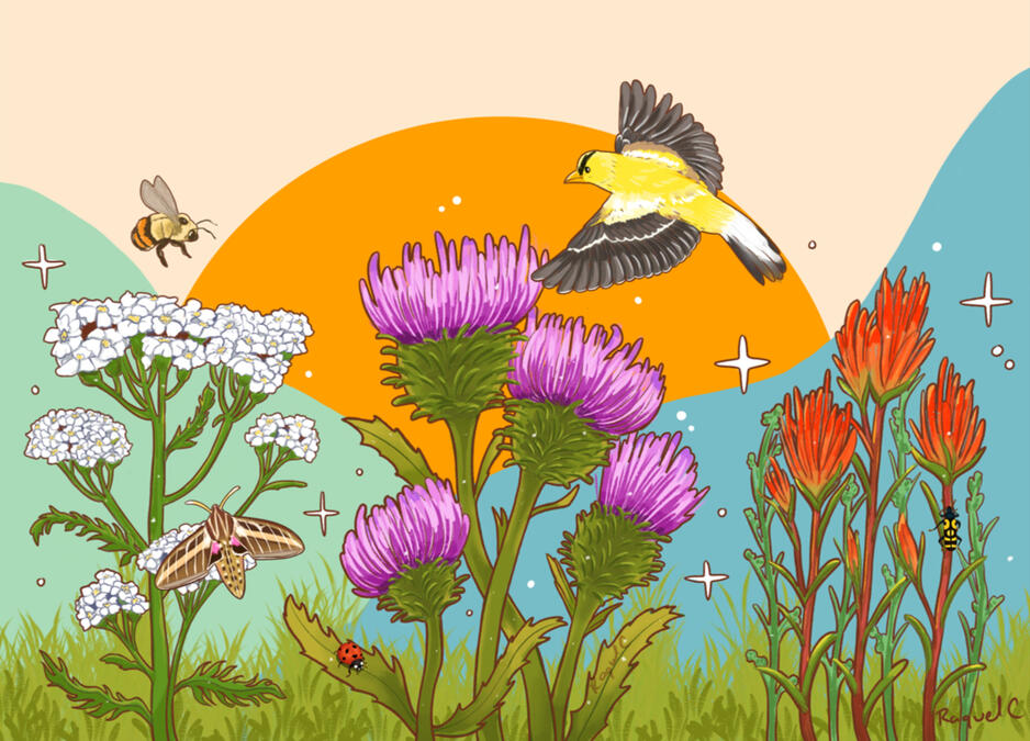 Golden Finch - Daybreak Utility Wrap - Digital